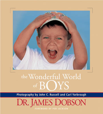 Book cover for The Wonderful World of Boys
