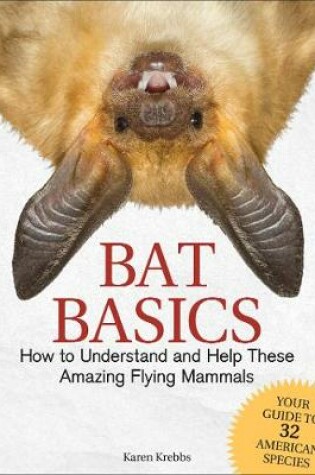 Cover of Bat Basics