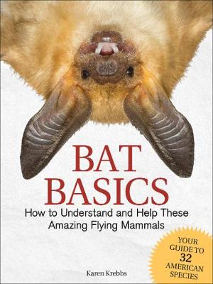 Book cover for Bat Basics