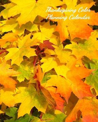 Book cover for Thanksgiving Color Planning Calendar