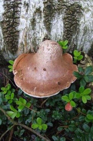 Cover of Birch Tree Polypore (for the Love of Nature)