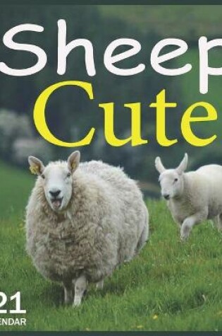 Cover of Cute Sheep