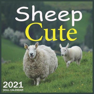 Book cover for Cute Sheep