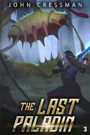 Cover of The Last Paladin 3