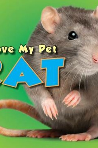 Cover of Rat