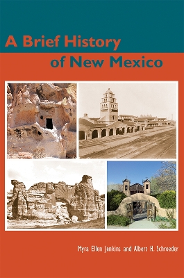 Book cover for Brief History of New Mexico