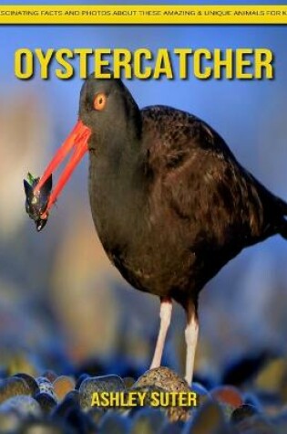 Cover of Oystercatcher