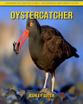 Book cover for Oystercatcher