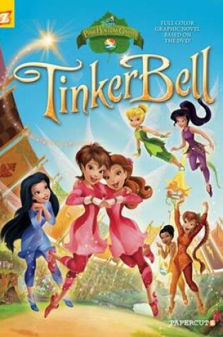 Cover of Disney Fairies Graphic Novel #13