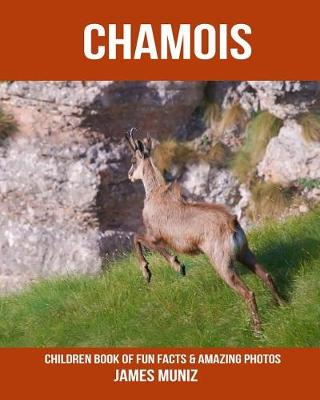 Book cover for Chamois