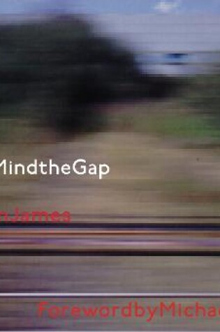 Cover of Mind the Gap