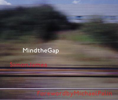 Book cover for Mind the Gap