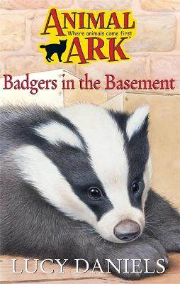 Book cover for Badger in the Basement