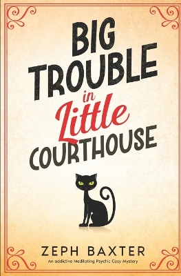 Cover of Big Trouble in Little Courthouse