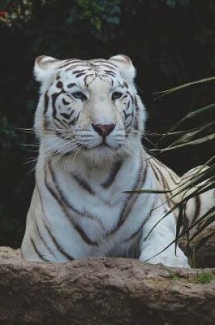 Cover of White Bengal Tiger Portrait Journal