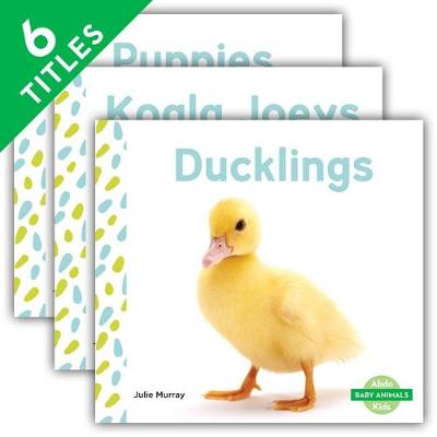 Book cover for Baby Animals (Set)