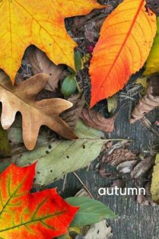 Cover of Autumn