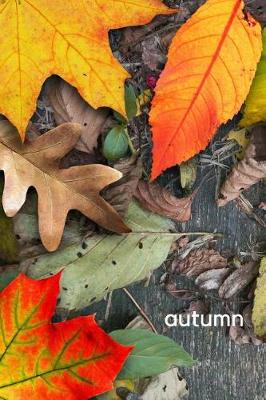 Book cover for Autumn