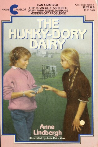 Book cover for The Hunky-Dory Diary
