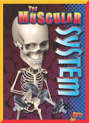 Book cover for The Muscular System