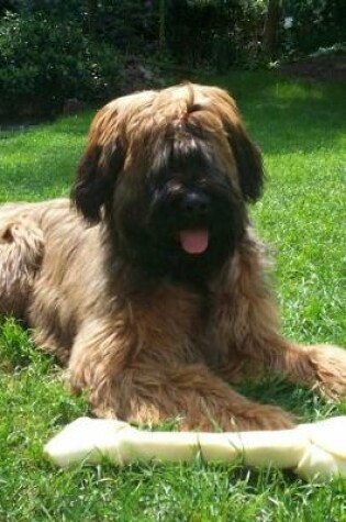 Cover of Brown Briard Dog Journal