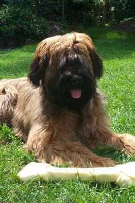 Book cover for Brown Briard Dog Journal