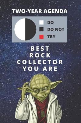 Book cover for 2020 & 2021 Two-Year Daily Planner For Best Rock Collector Gift - Funny Yoda Quote Appointment Book - Two Year Weekly Agenda Notebook For Crystal Collecting