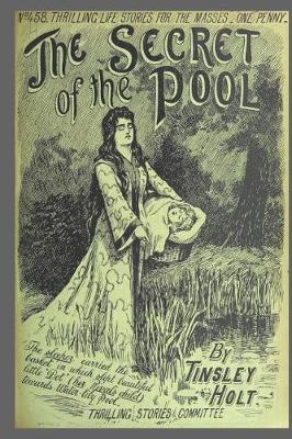 Book cover for Journal Vintage Penny Dreadful Book Cover Reproduction Secret of the Pool