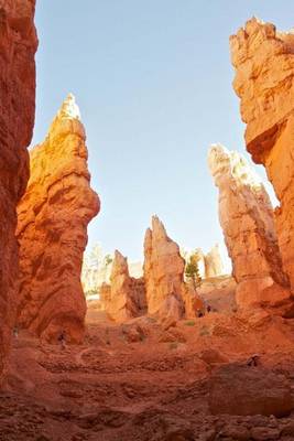 Book cover for Cliff Pillars at Bryce Canyon (for the Love of Nature)