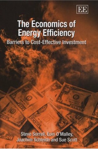 Cover of The Economics of Energy Efficiency