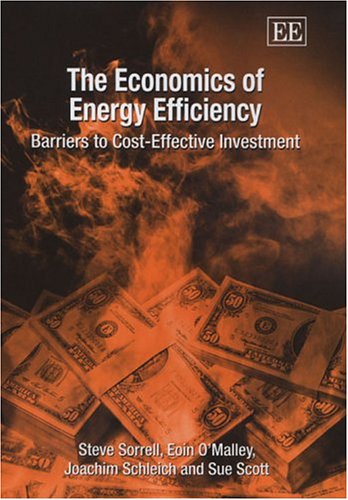 Book cover for The Economics of Energy Efficiency