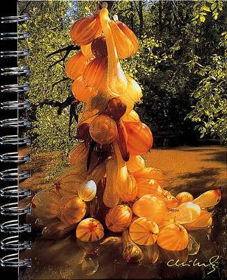 Book cover for Chihuly Journal