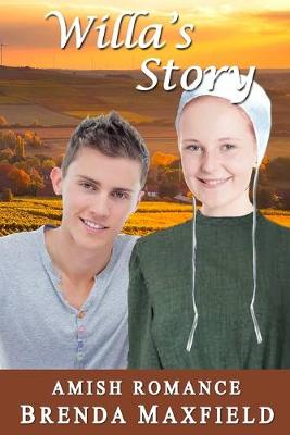 Book cover for Willa's Story