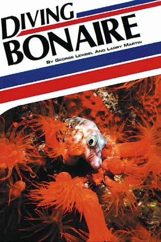 Cover of Diving Bonaire