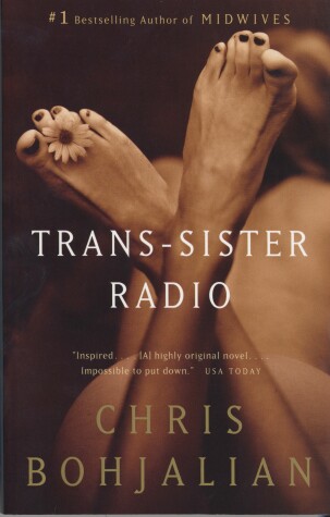 Book cover for Trans-Sister Radio