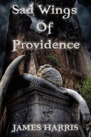 Cover of Sad Wings of Providence