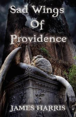 Book cover for Sad Wings of Providence