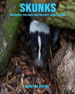 Book cover for Skunks