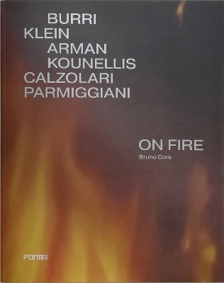 Book cover for On Fire