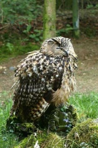 Cover of An Eagle Owl Perched Sleeping on a Stump in the Forest