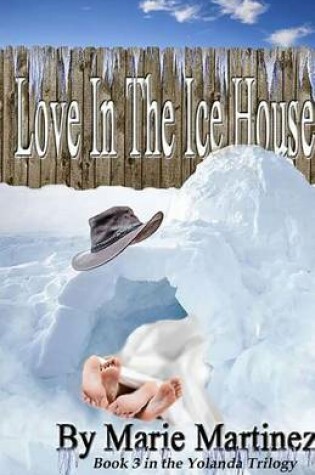 Cover of Love in the Ice House