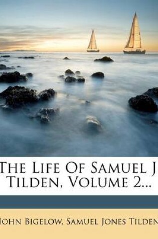 Cover of The Life of Samuel J. Tilden, Volume 2...