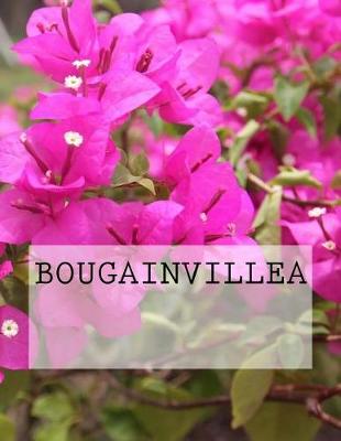 Book cover for Bougainvillea