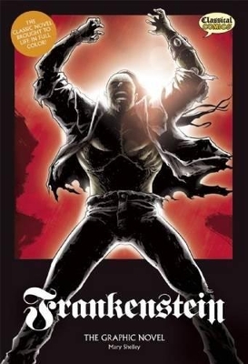Cover of Frankenstein The Graphic Novel: Original Text