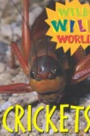 Cover of Crickets