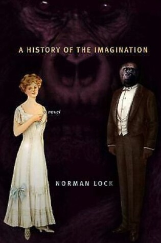 Cover of A History of the Imagination