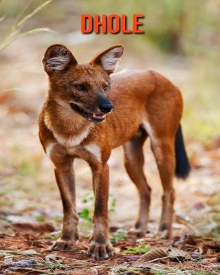 Book cover for Dhole