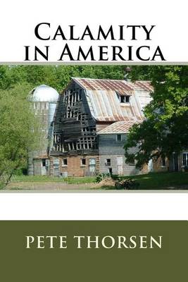 Book cover for Calamity in America