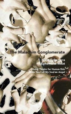 Book cover for The Malachim Conglomerate