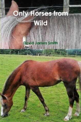 Cover of Only Horses from Wild